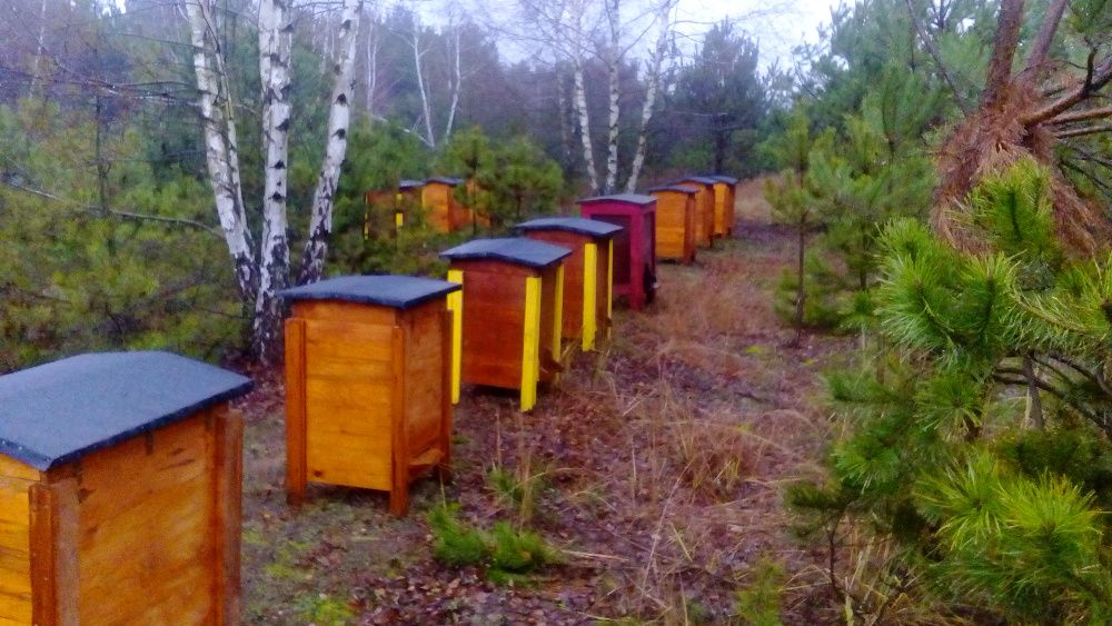 Odkłady  Warszawskie Poszerzane 2026