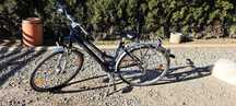 Rower damski firmy scirocco