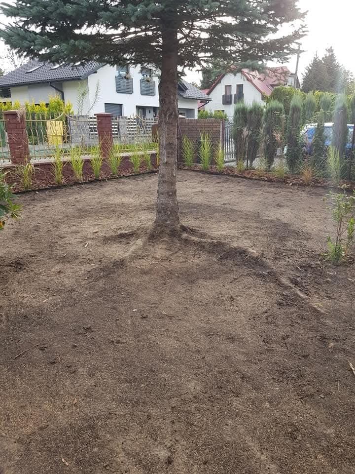 Zakładanie i pielęgnacja trawników Bielsko Jasienica Skoczów I okolice