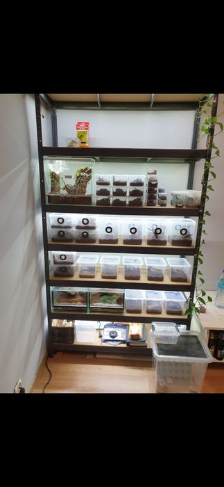 Regał terrarystyczny