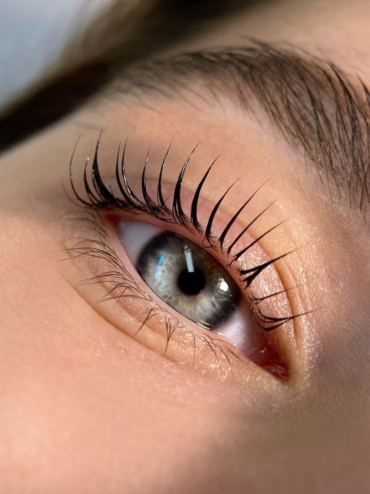 Курс бровиста,Brow master(ламинирование ресниц)