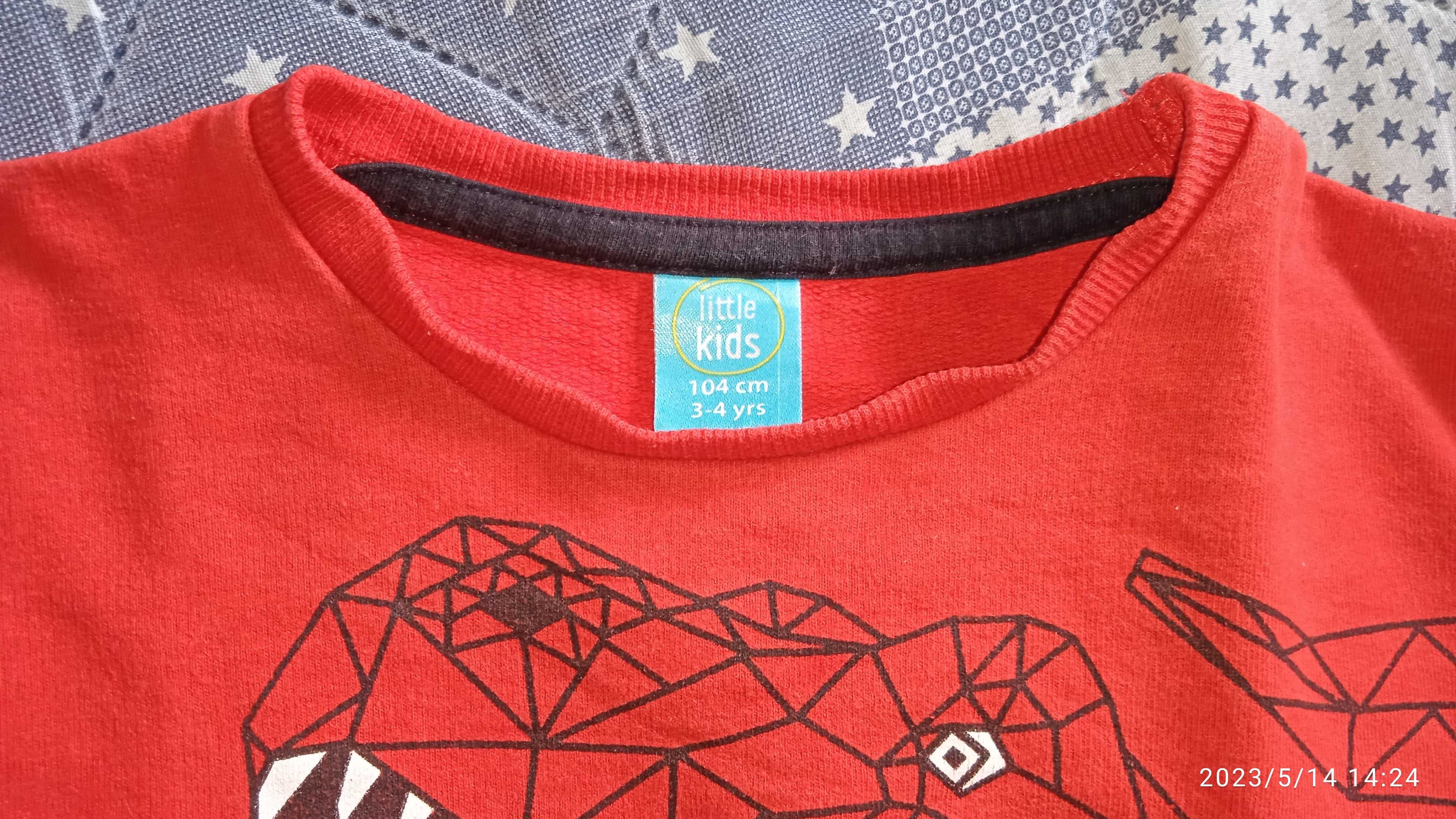 Bluza dinozaur 104 Pepco ciepła Łódź Radogoszcz