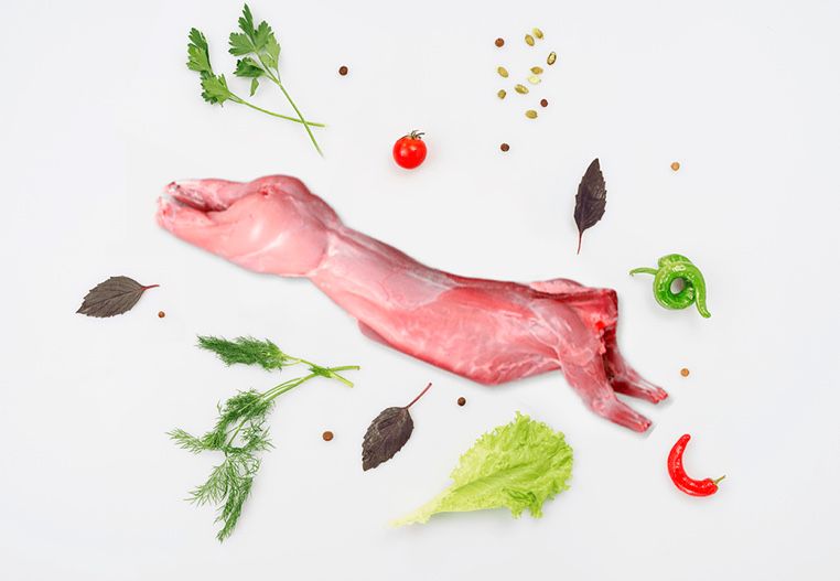 Домашнє мясо кроля