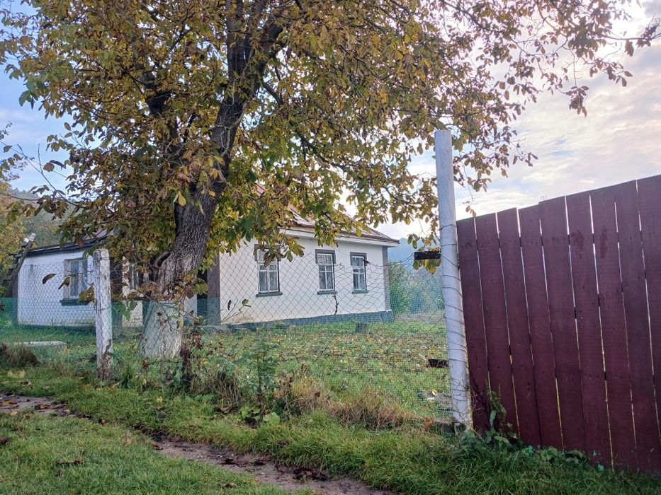 Здам в довгострокову оренду будинок