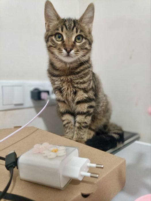 Мальчик 5 мес привит