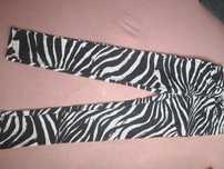 Spodnie H&M zebra