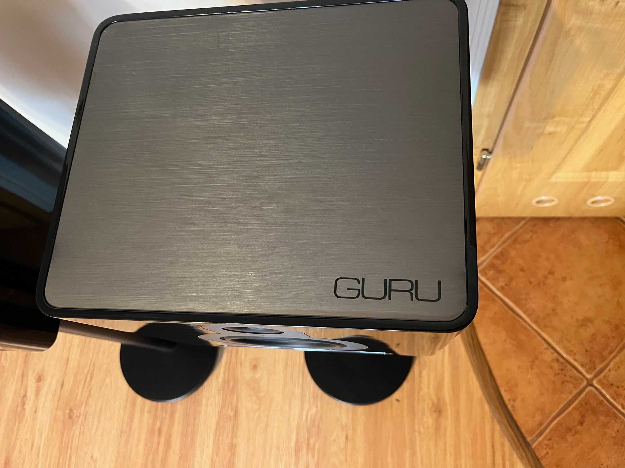 Kolumny podstawkowe Guru Q10 – Hi-End z potężnym brzmieniem!