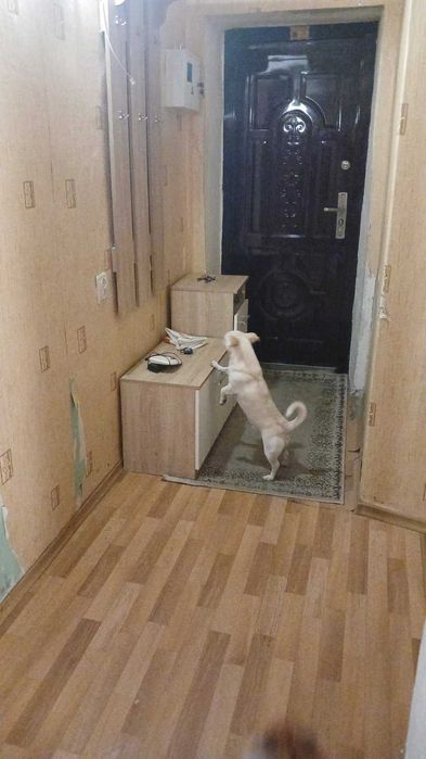 ОРЕНДА 2 кімнатної квартири