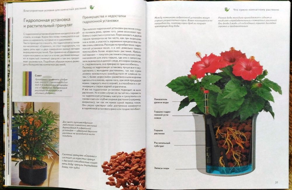 Книга "Все о комнатных растениях"