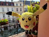 Piniata dowolna  Nysa