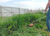 Покос травы скос травы бурьяна очистка участка