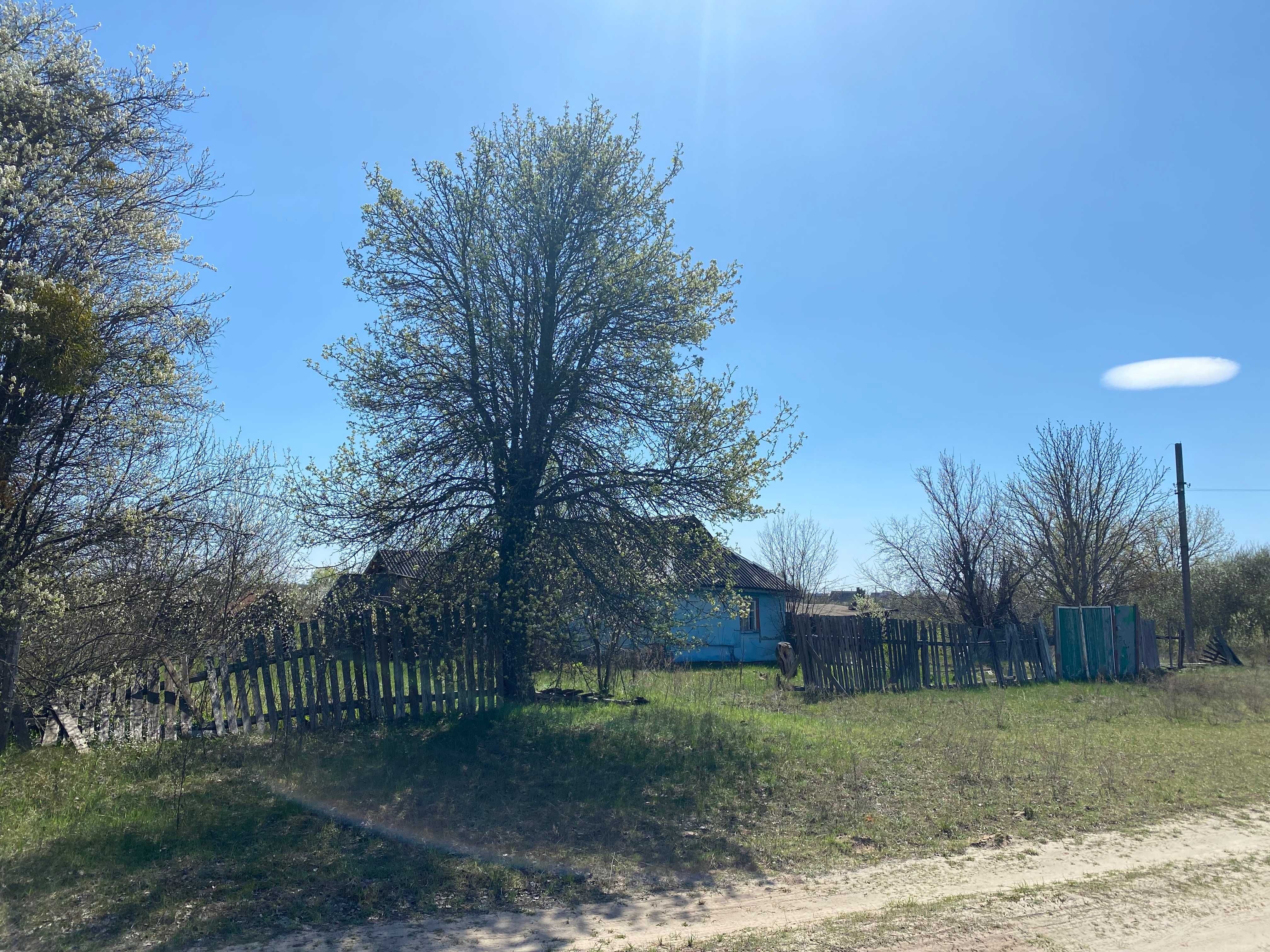 Продаж будинку у с. Петрівському Вишгородського р-ну