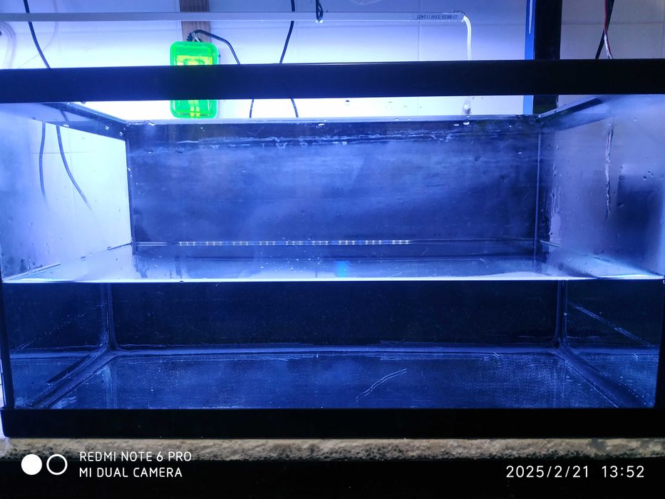 Aquário, plantas, escumador, iluminação,