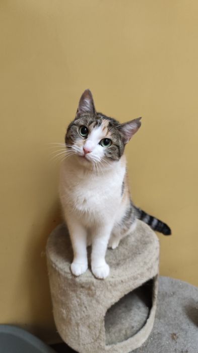 Czy cudowna Taśka ma w ogóle szansę na adopcje?