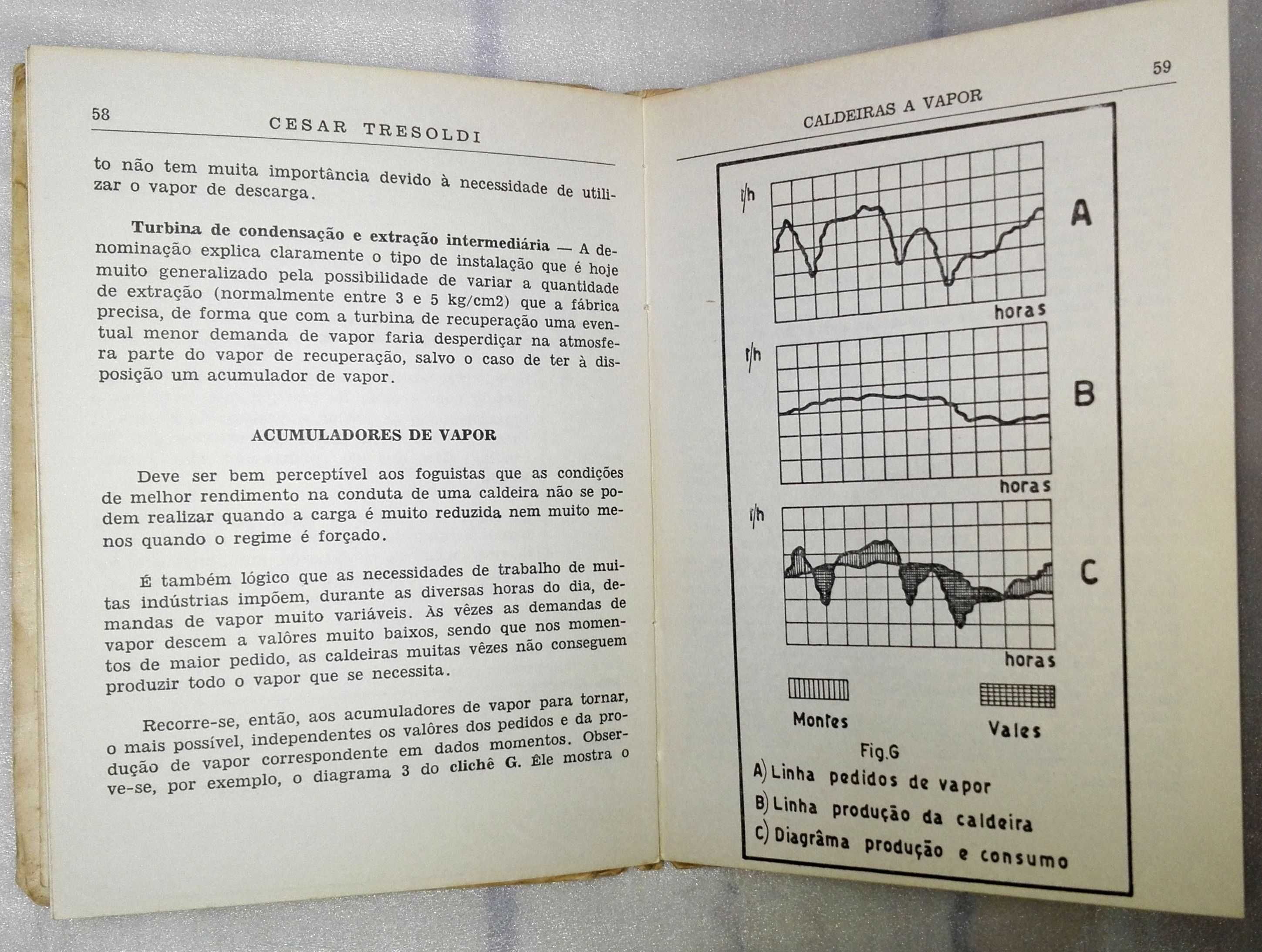 Livro Caldeiras a Vapor