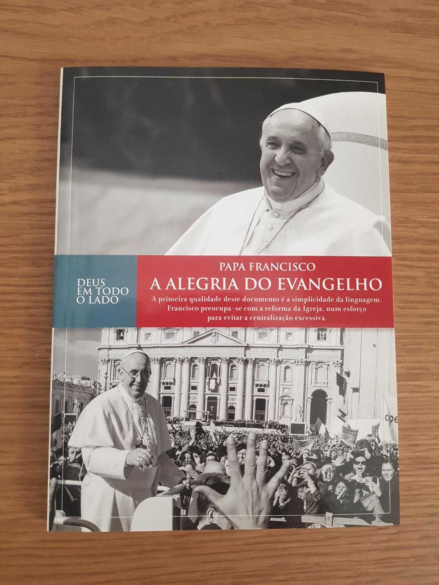 Conjunto 7 Livros Papa Francisco (NOVOS)