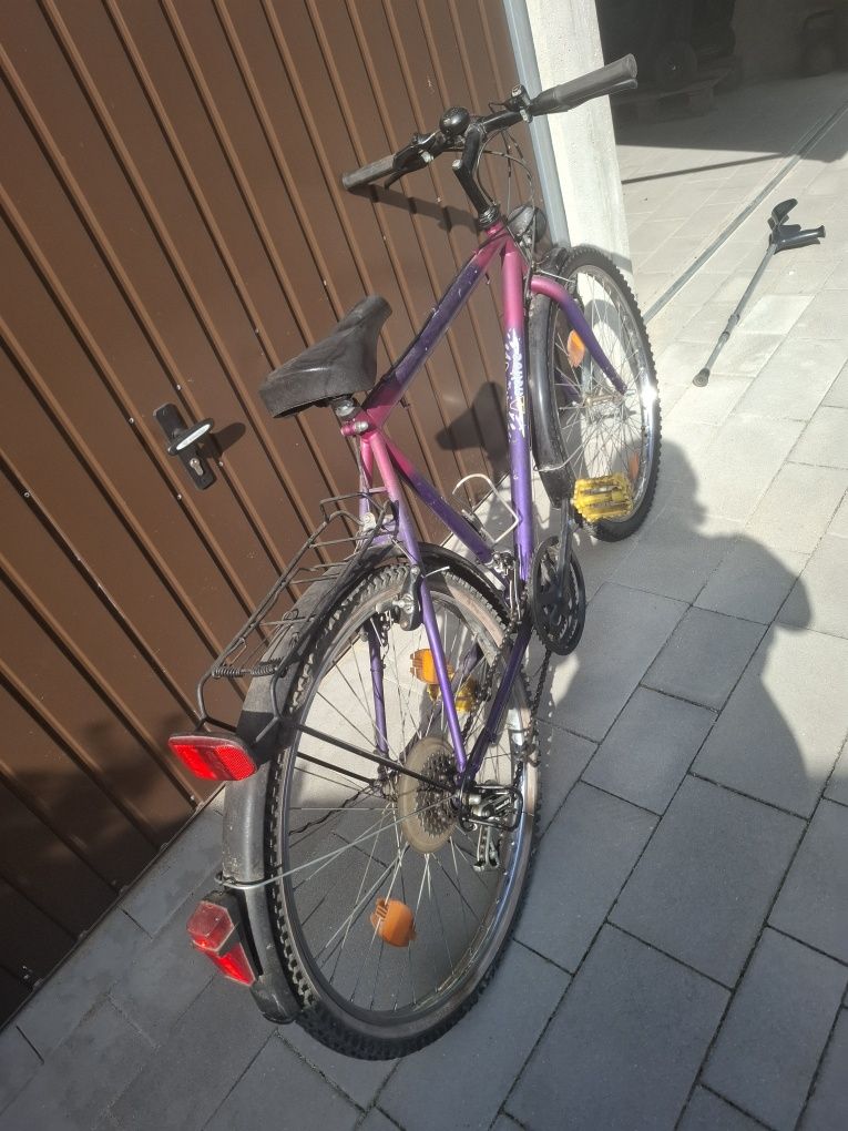 Talerze komplet ryby prl