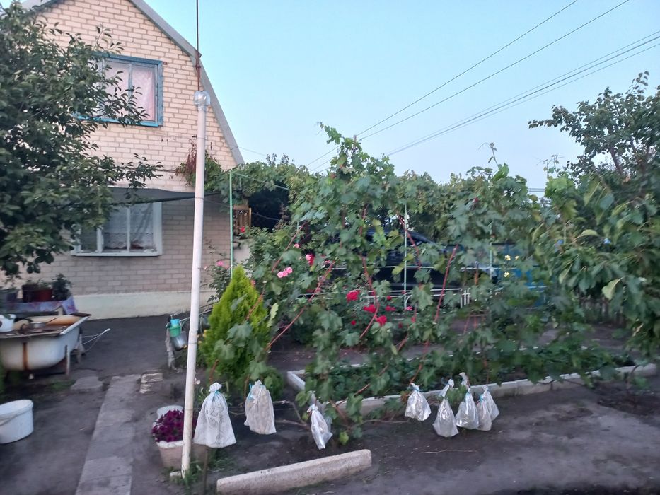 Продам дачу возле села Дмитровка. В доме печь и запас угля.