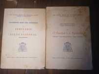 Dom Manuel Mendes, Arcebispo, Documentos duma Vida Apostólica (2 Vol.)