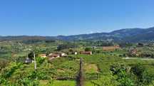 Terreno  para construção, com 2096 m2, em Telões - Amarante