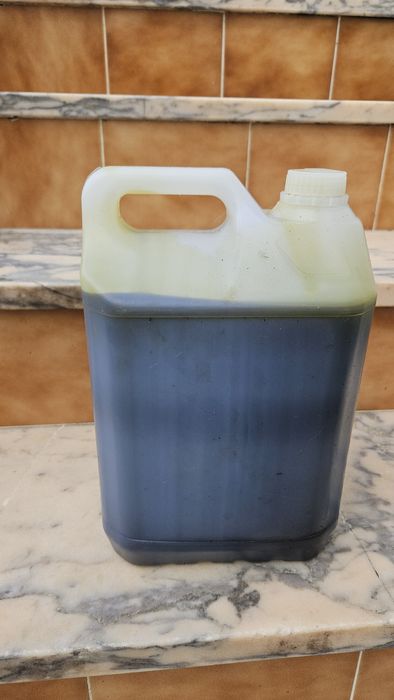 Vendo azeite caseiro