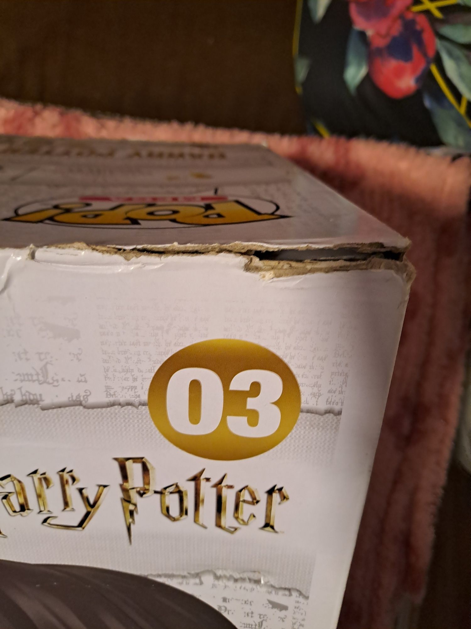 Harry Potter z Jadwigą