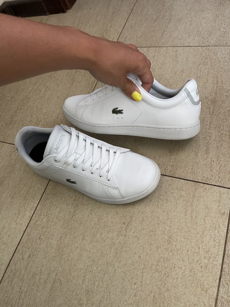 Buty snicersy Lacoste oryginalne