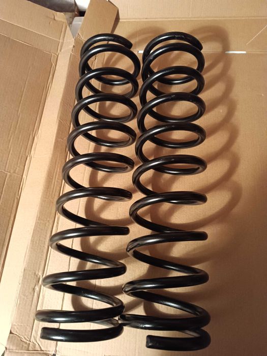 Пружини задні до славути (пара)