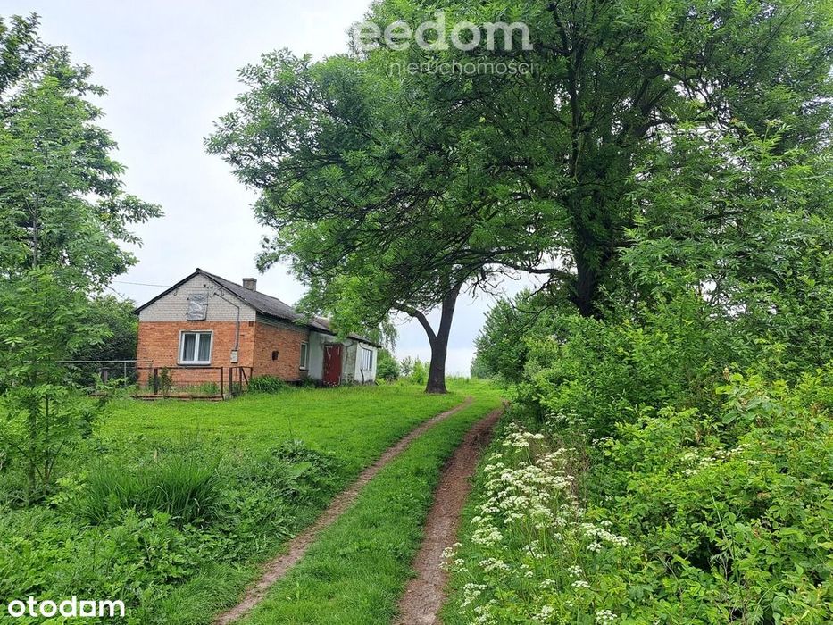 Działka siedliskowa w malowniczej okolicy.