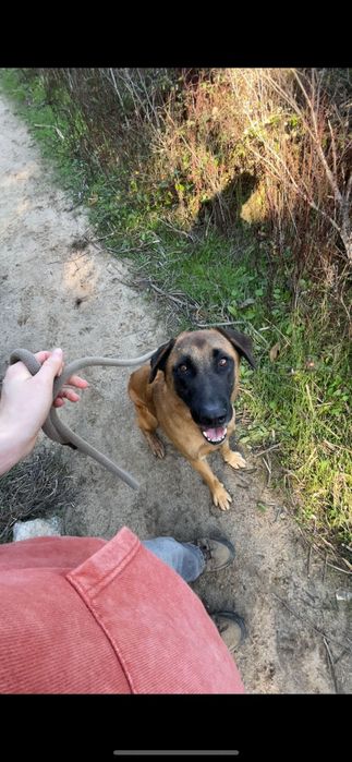 Meninao para super família carinhosa