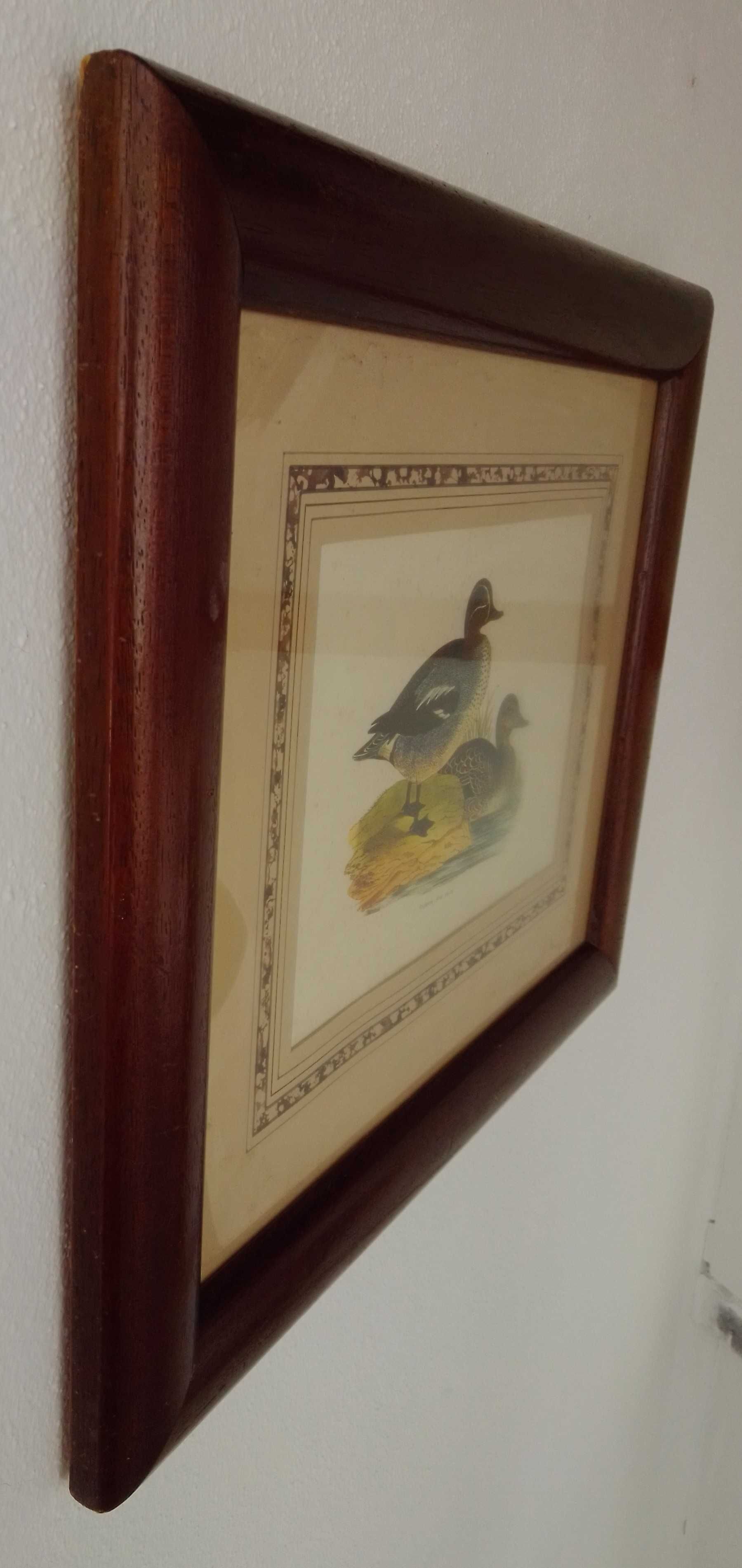 Quadro     patos