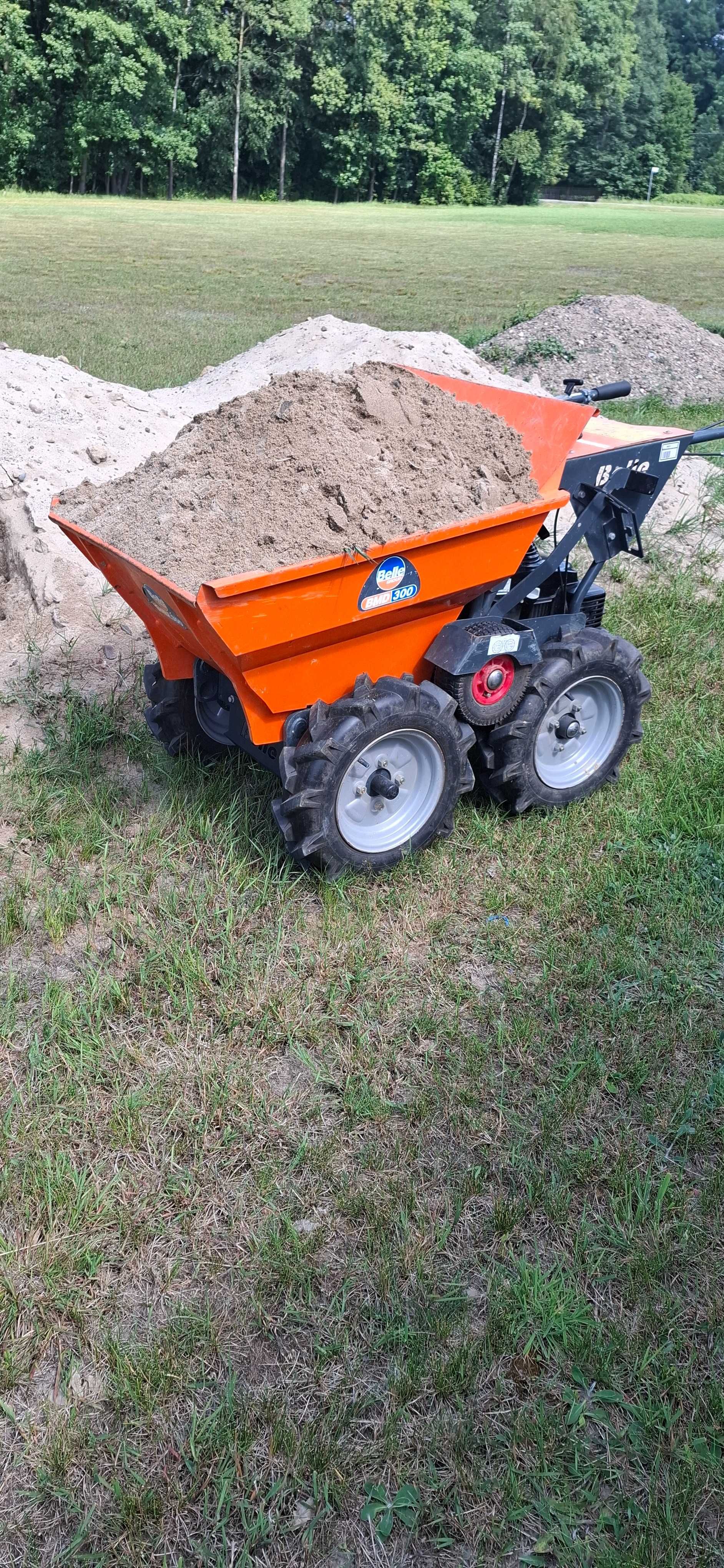 Łuparka do drewna MacAllister 8T nacisku wypożyczalnia wynajem