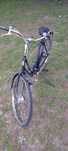 Sprzedam rower Gazela Impala