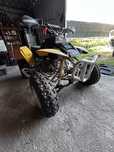 Yamaha warrior 350