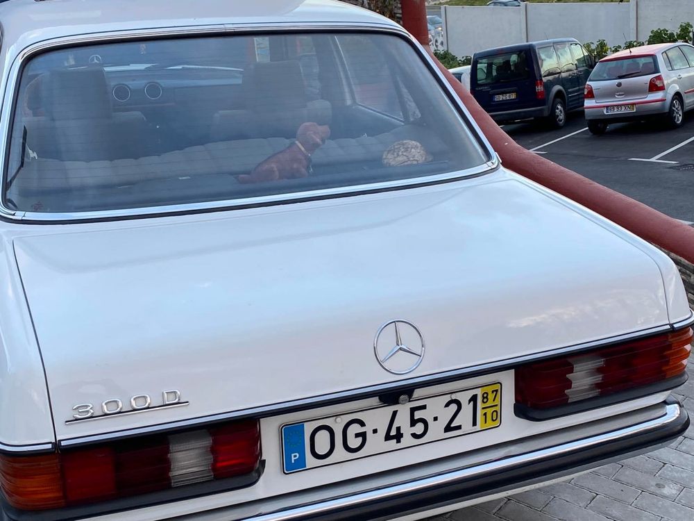 Mercedes w123 300D