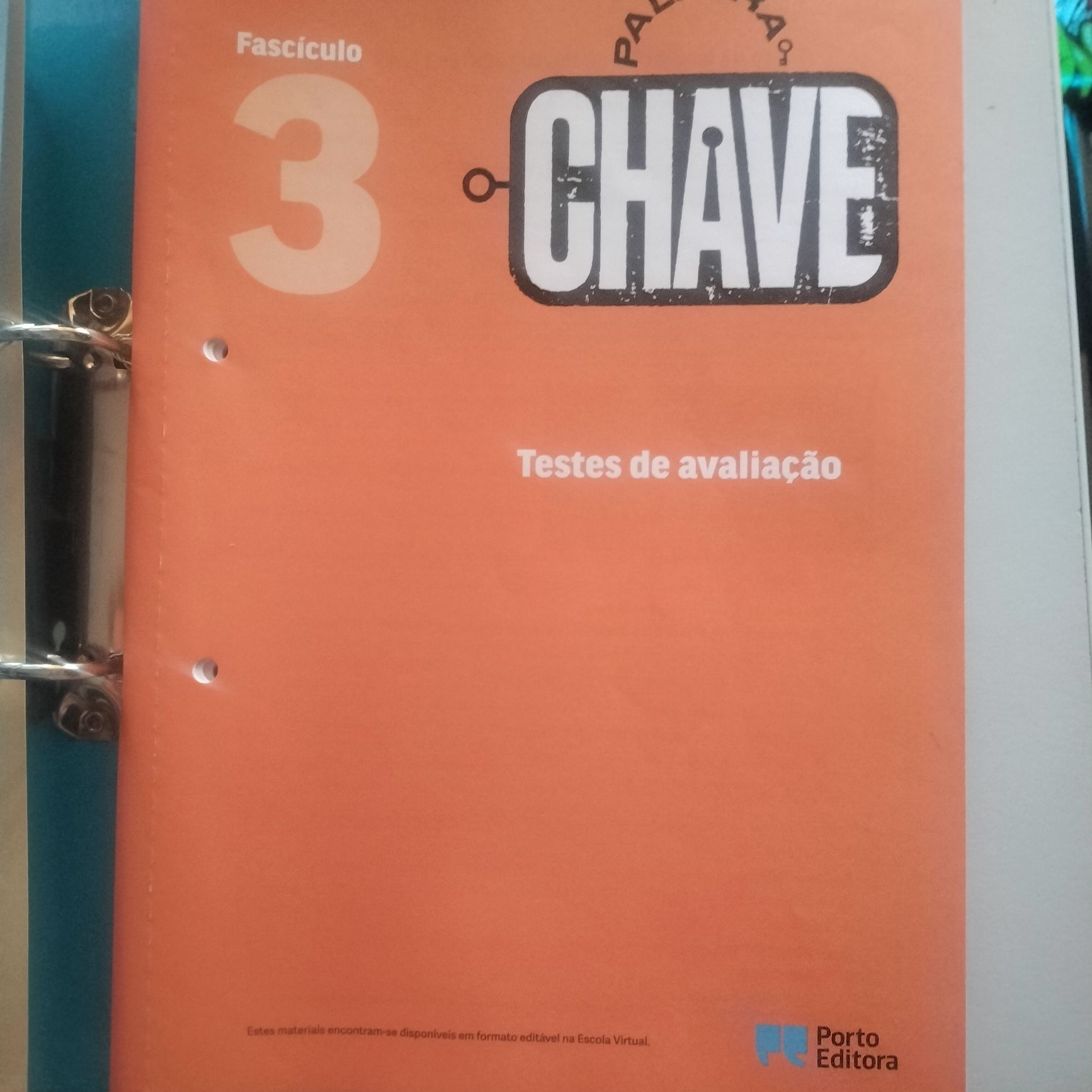 Manual e caderno de atividades de português 9⁰ ano