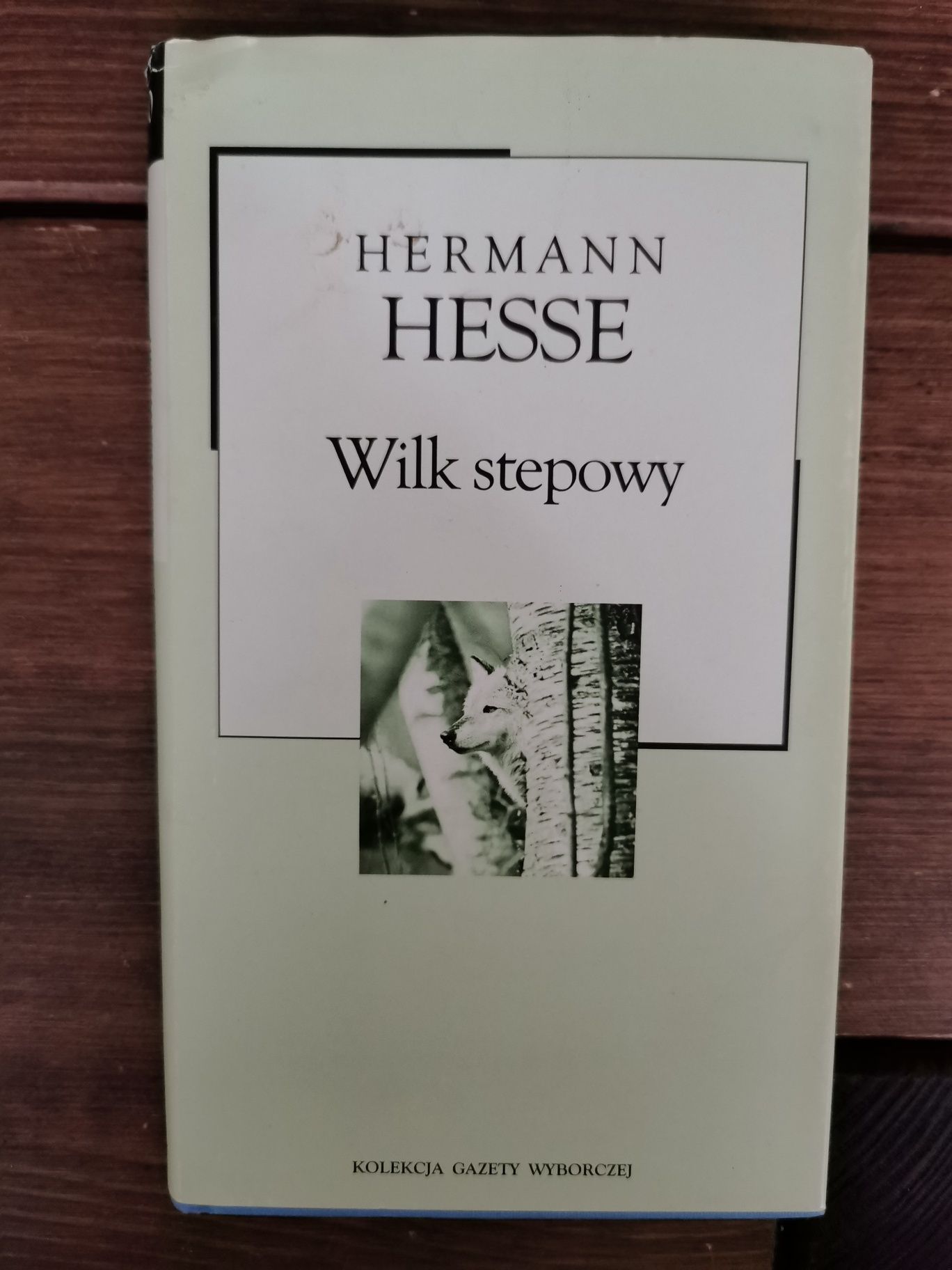 Wilk stepowy - Hermann Hesse