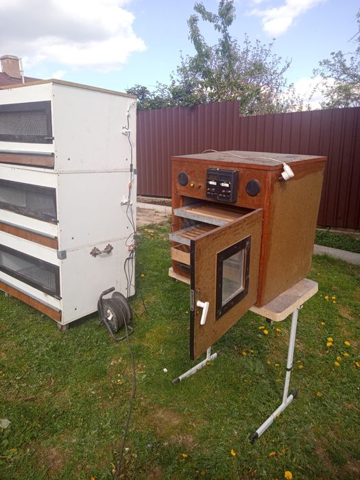 Inkubator odchowalnik