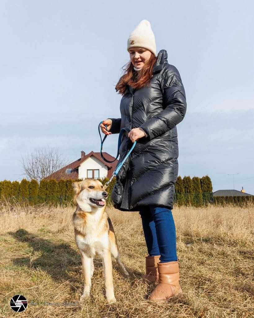 Mądry, wesoły i gotowy na nowy start – Miki szuka domu!