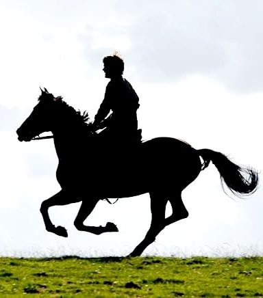 Cavalo de Guerra - SPIELBERG
