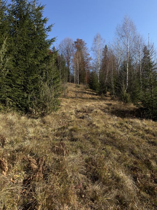Земельна ділянка в Дземброні