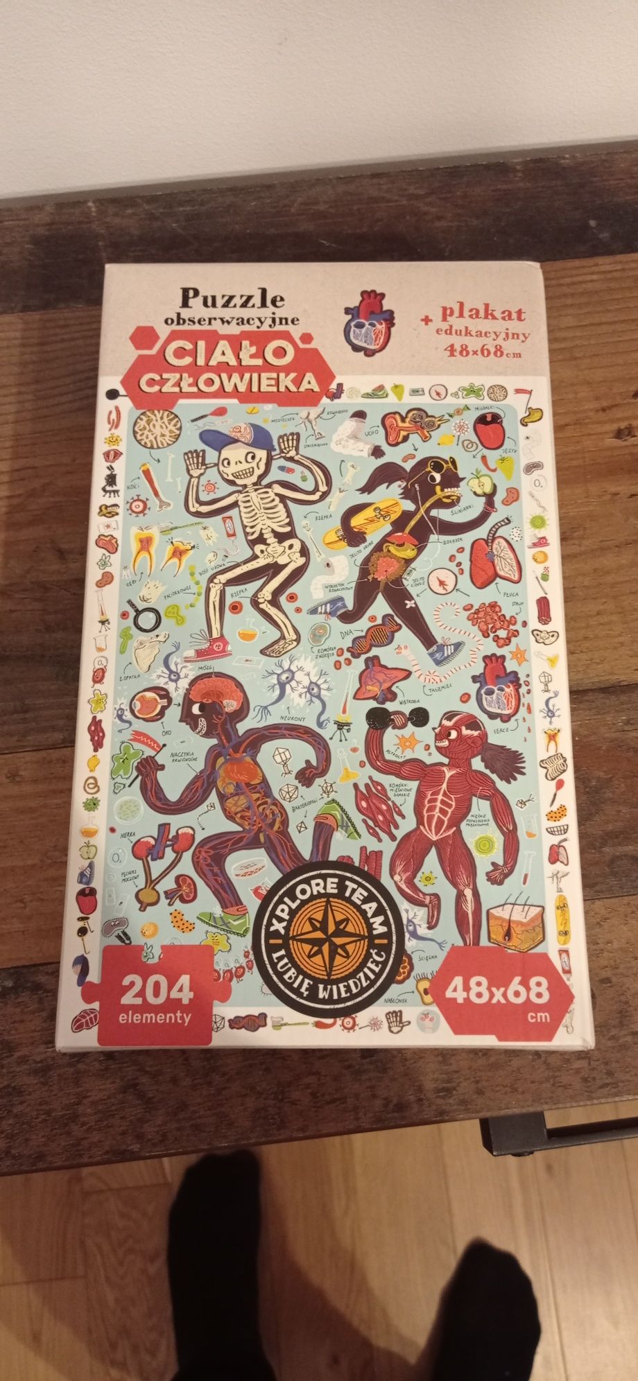 Puzzle obserwacyjne ciałko człowieka