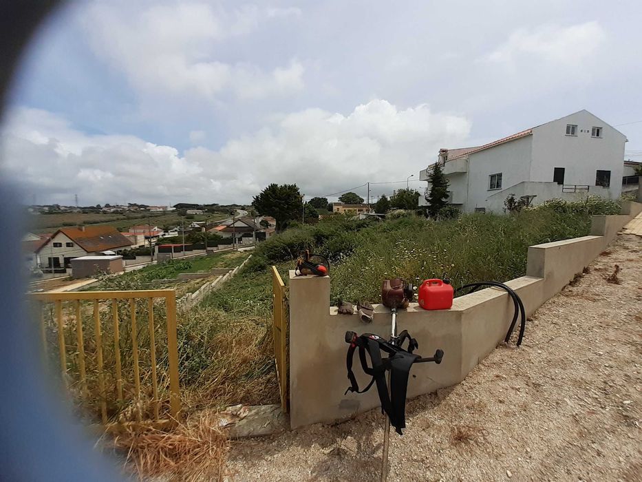Manutenção de terrenos, corte/poda árvores