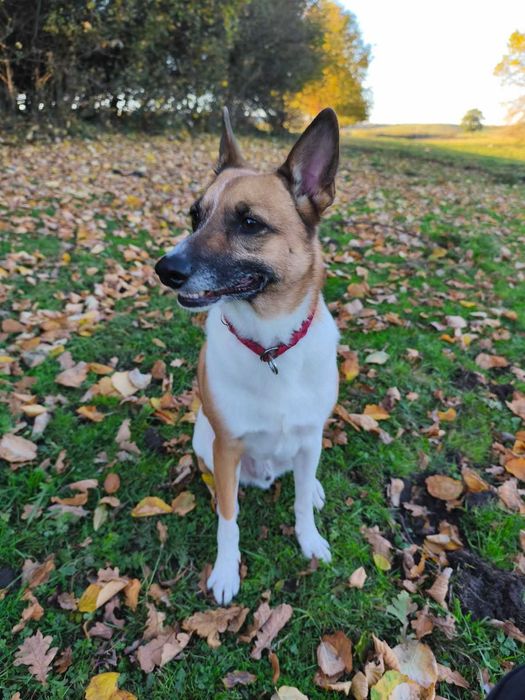 Bari po 2 latach traci DOM