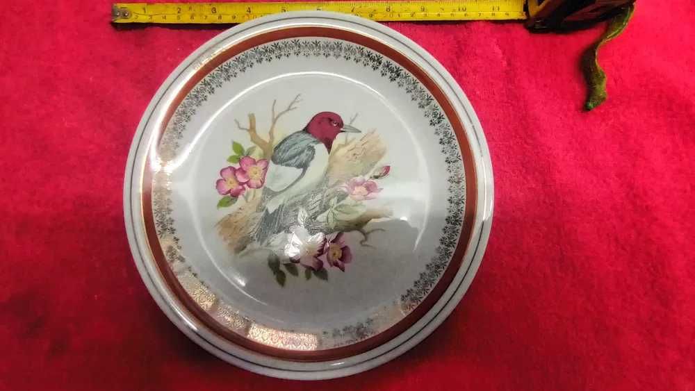 3 Pratos porcelana