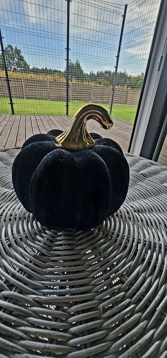 Dynia Home&you dekoracja granatowa zamsz