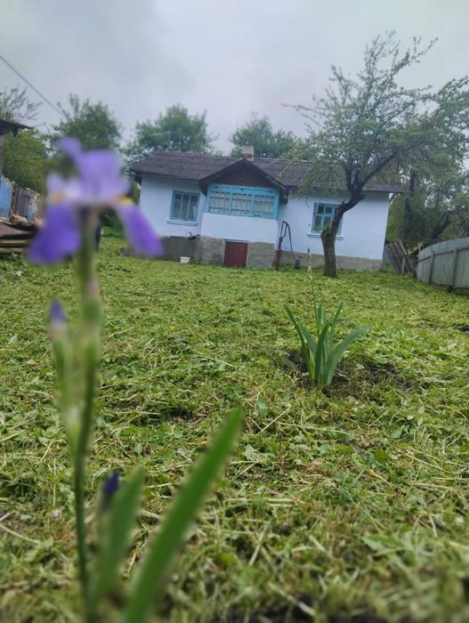 Хата біля соснового лісу 80 км до Львова