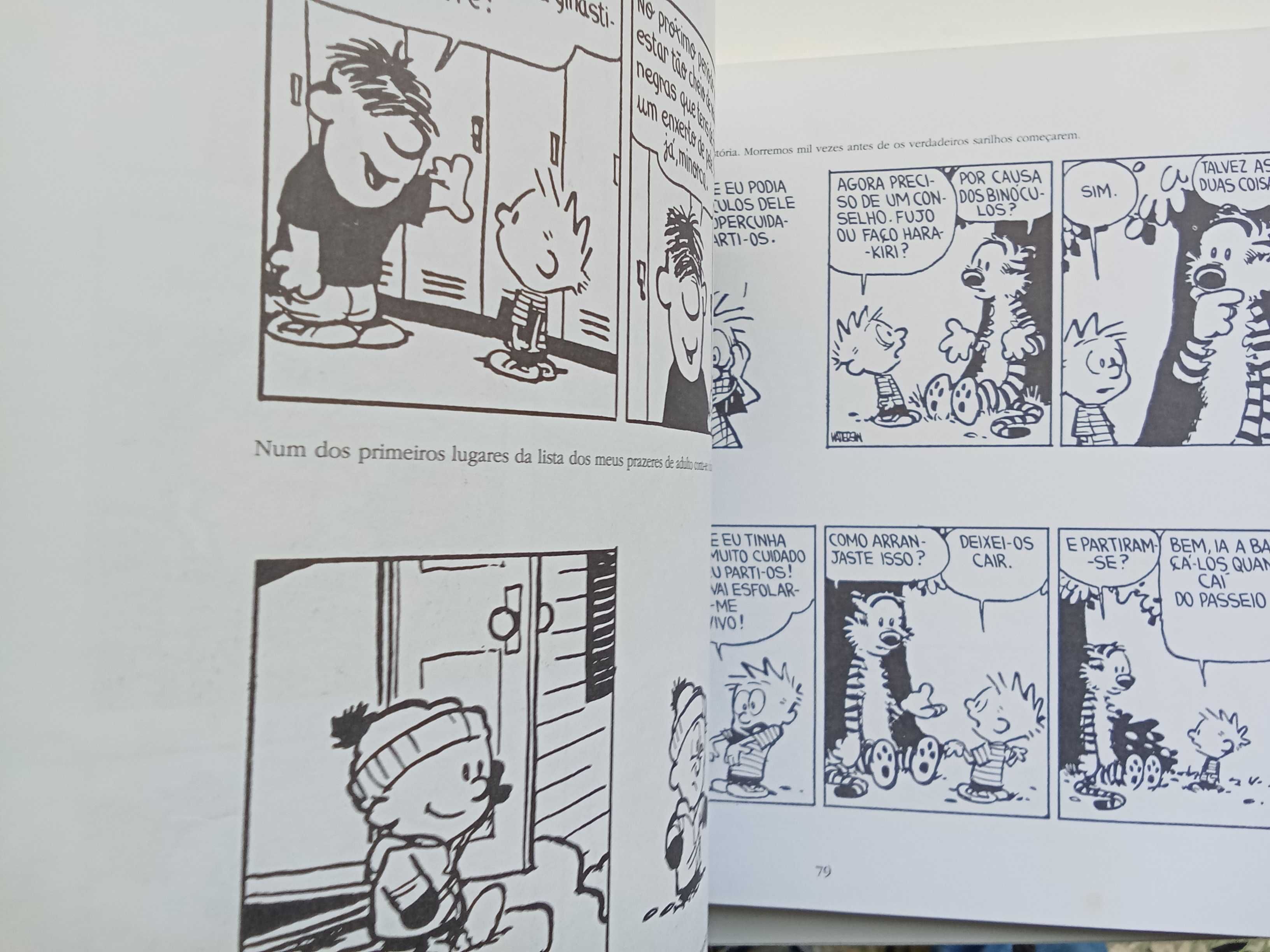 Bill Watterson - Parabéns, Calvin & Hobbes