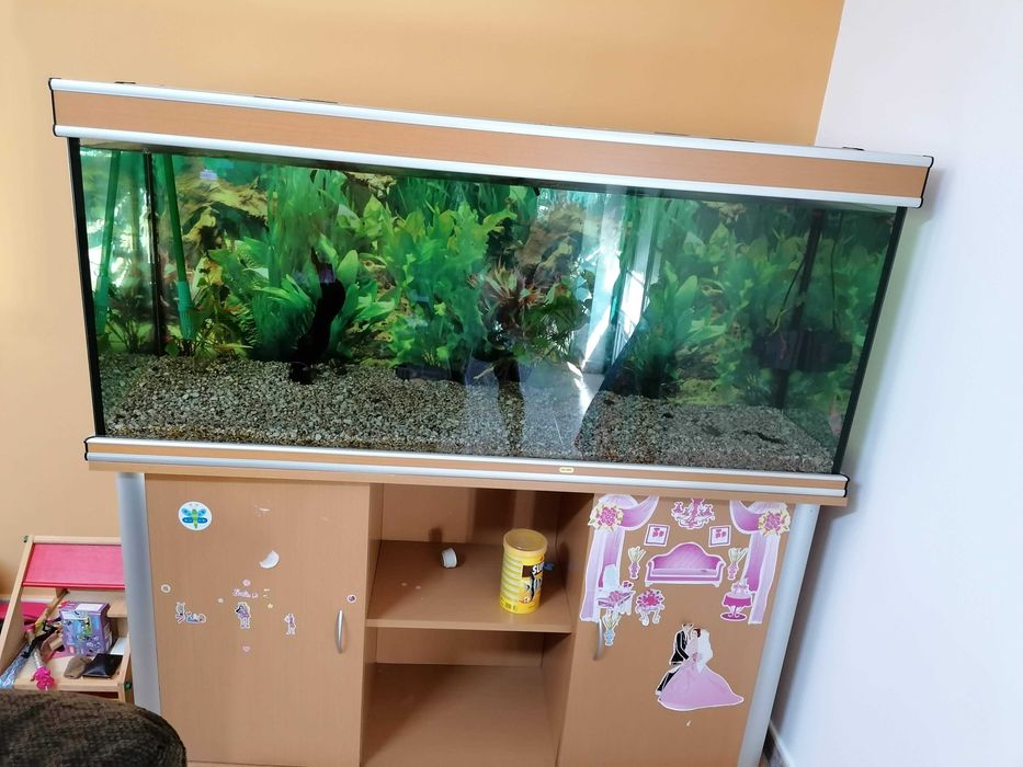 Aquário com C 1500 x L 500 x A680 mm, móvel, luminária e filtro