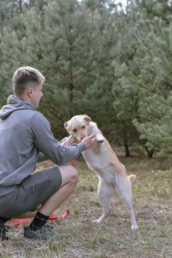 SAMBA poleca się do adopcji!